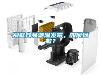 企业新闻别墅容易潮湿发霉，如何拯救？