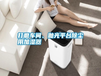 知识百科打磨车间、抛光平台除尘用加湿器