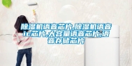 除湿机语音芯片,除湿机语音ic芯片,大容量语音芯片,语音存储芯片