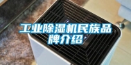 工业除湿机民族品牌介绍