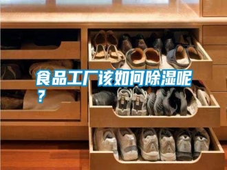 知识百科食品工厂该如何除湿呢？