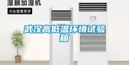 武汉高低温环境试验箱