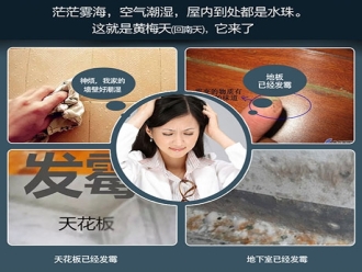 知识百科金丝蜜枣烘干工艺