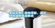 非标定制工业除湿机，满足特殊场所除湿需求