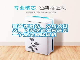 行业新闻百善孝为先，父母大过天，你和孝道之间还差一个安诗曼除湿机