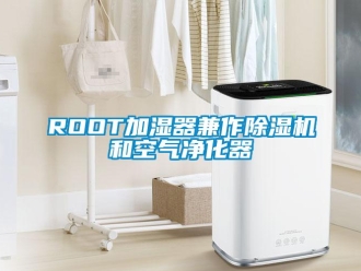 企业新闻ROOT加湿器兼作除湿机和空气净化器