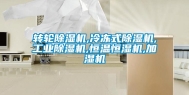 转轮除湿机,冷冻式除湿机,工业除湿机,恒温恒湿机,加湿机