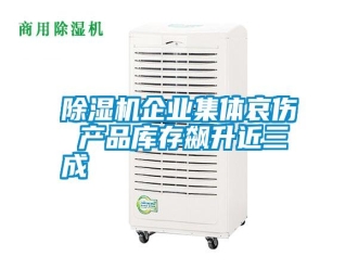 行业新闻除湿机企业集体哀伤 产品库存飙升近三成