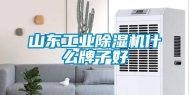 山东工业除湿机什么牌子好