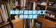 鹤壁升温型柜式工业除湿机