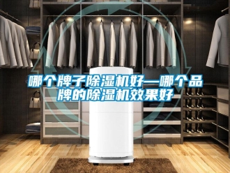 企业新闻哪个牌子除湿机好—哪个品牌的除湿机效果好