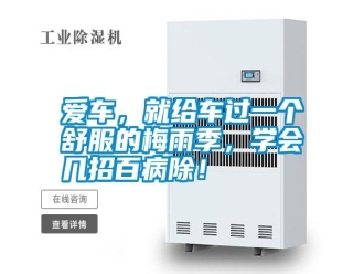 常见问题爱车，就给车过一个舒服的梅雨季，学会几招百病除！