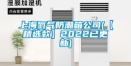 上海氮气防潮箱公司(【精选款】2022已更新)