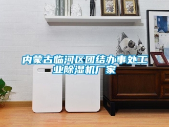 企业新闻内蒙古临河区团结办事处工业除湿机厂家