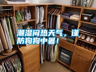 知识百科潮湿闷热天气，谨防狗狗中暑！