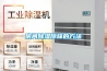 房间除湿除味的方法