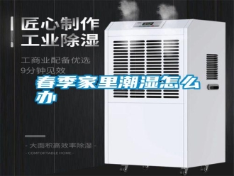 行业新闻春季家里潮湿怎么办