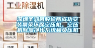 深圳圣鸿口腔诊所成功安装景荣环保空压机、空压机除湿净化系统和负压机