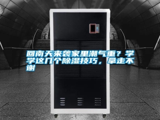 企业新闻回南天来袭家里潮气重？学学这几个除湿技巧，拿走不谢