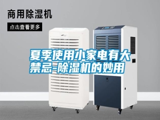 常见问题夏季使用小家电有大禁忌-除湿机的妙用
