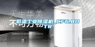 低温工业除湿机_CF6.8DTR