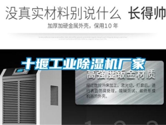 企业新闻十堰工业除湿机厂家