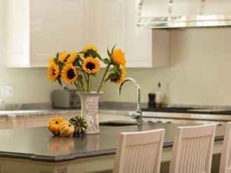 知识百科环保节能之选，海产品烘干除湿一体机