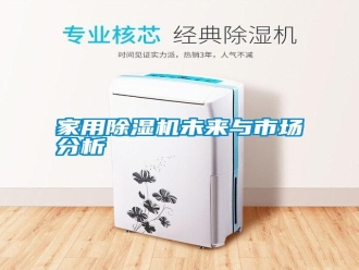 企业新闻家用除湿机未来与市场分析