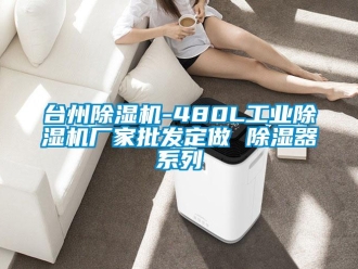 企业新闻台州除湿机-480L工业除湿机厂家批发定做 除湿器系列