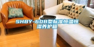 SHBY-60B型标准恒温恒湿养护箱