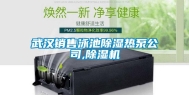武汉销售泳池除湿热泵公司,除湿机