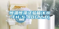 恒温恒湿试验箱(KB-TH-S-80G.Z.D)