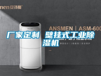 企业新闻厂家定制 壁挂式工业除湿机