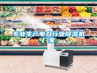 企业新闻专业生产电力行业除湿机厂家
