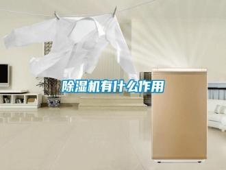 常见问题除湿机有什么作用