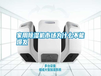 知识百科家用除湿机市场为什么不能爆发