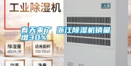 春天来了 浙江除湿机销量增30%