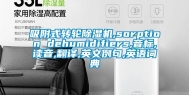 吸附式转轮除湿机,sorption dehumidifiers,音标,读音,翻译,英文例句,英语词典