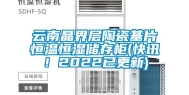 云南晶界层陶瓷基片恒温恒湿储存柜(快讯！2022已更新)