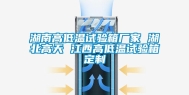 湖南高低温试验箱厂家 湖北高天 江西高低温试验箱定制
