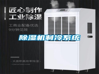 常见问题除湿机制冷系统