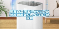 湖北宜昌伍家岗CFZ工业除湿机湿菱SL-9138E除湿机