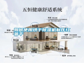 常见问题如何使用烘干除湿机制作红薯干