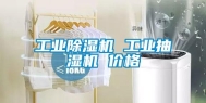 工业除湿机 工业抽湿机 价格