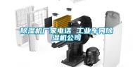 除湿机厂家电话 工业车间除湿机公司