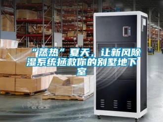 企业新闻“蒸热”夏天，让新风除湿系统拯救你的别墅地下室