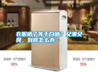 常见问题衣服晒了等于白晒？又潮又臭，到底怎么办…