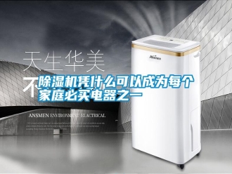 行业新闻除湿机凭什么可以成为每个家庭必买电器之一