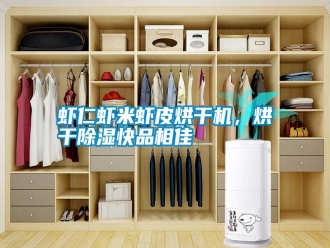 知识百科虾仁虾米虾皮烘干机，烘干除湿快品相佳