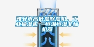 雅安市高低温除湿机，工业抽湿机  恒温恒湿非标机器